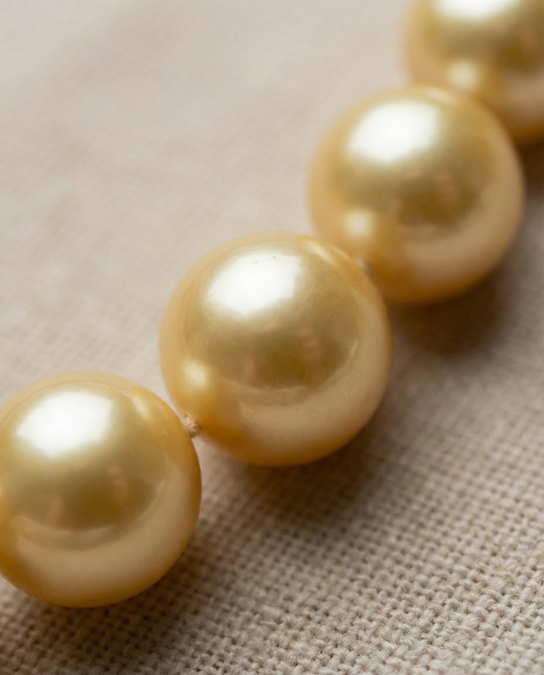 Gold Pearl - VEEKISSY